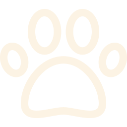 Animal Paw Image